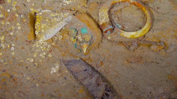 Encuentran un collar de oro con dientes de tiburón entre restos del Titanic