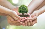 Voluntariado Banreservas: comprometido con la educación ambiental de los dominicanos Voluntariado Banreservas: comprometido con la educación ambiental de los dominicanos