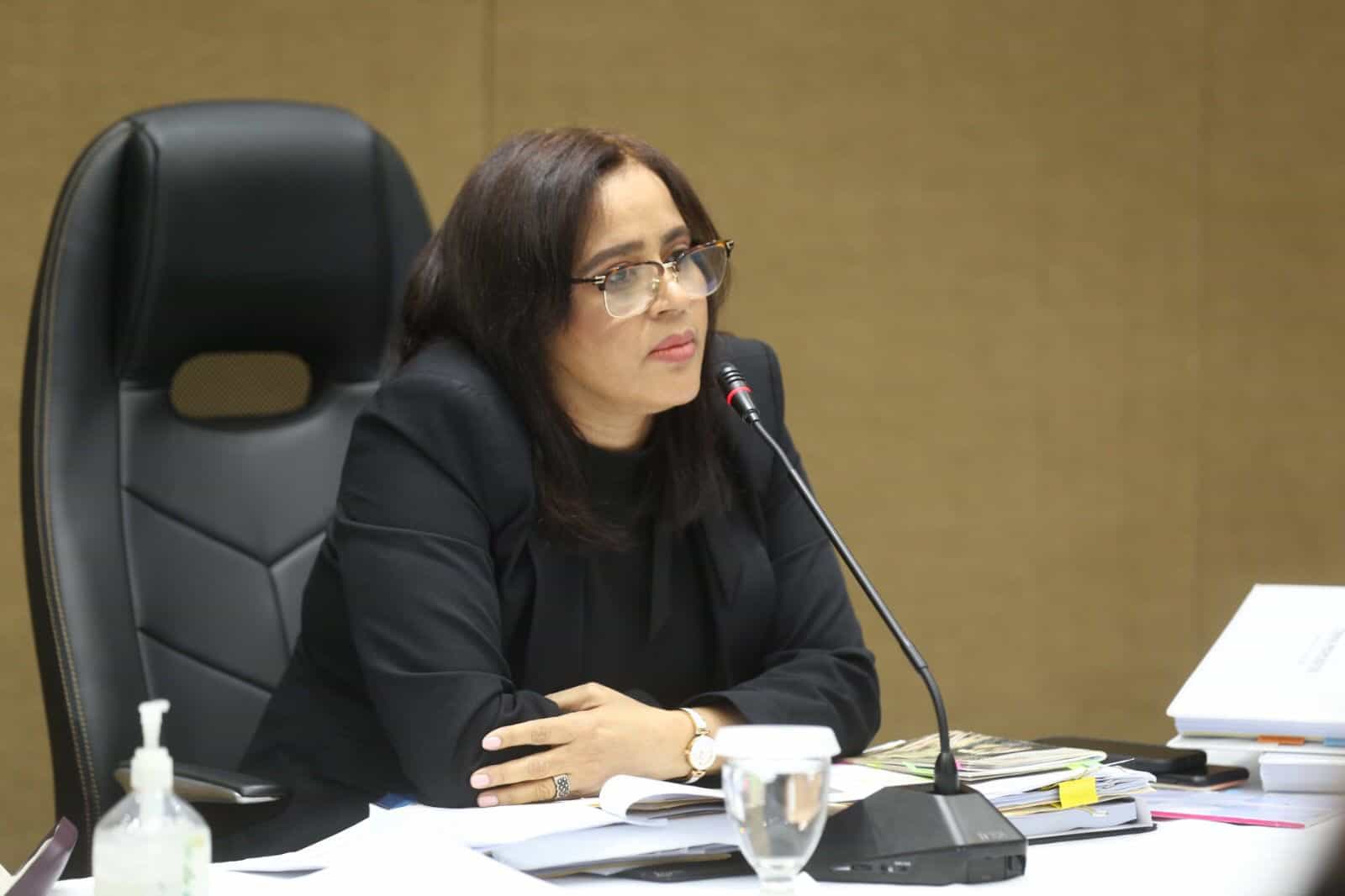 La vicepresidente la Cámara de Cuentas, Elsa María Catano.
