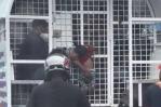 VIDEO | Trasladan bebé agarrado de las verjas de camión de Migración durante redada en Santo Domingo Este VIDEO | Trasladan bebé agarrado de las verjas de camión de Migración durante redada en Santo Domingo Este