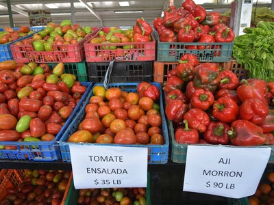 Plato del día y alquileres: bienes y servicios que subieron de precios