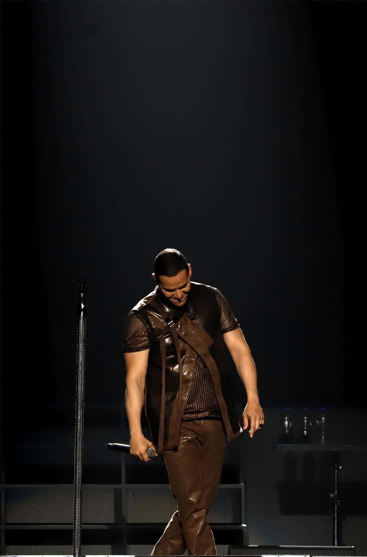 Víctor Manuelle fue aplaudido por su pueblo.