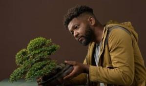 Mañana se inicia Bonsai en la Zona 2023