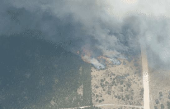 Incendio forestal en Michigan provoca evacuaciones y cierres de carreteras