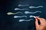 Mitos y realidades sobre la fertilidad masculina Mitos y realidades sobre la fertilidad masculina