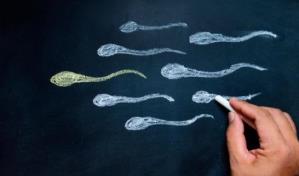 Mitos y realidades sobre la fertilidad masculina