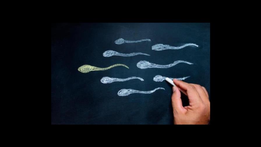 Mitos y realidades sobre la fertilidad masculina