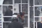 Indignación en República Dominicana por un operativo migratorio que puso en riesgo a niño Indignación en República Dominicana por un operativo migratorio que puso en riesgo a niño