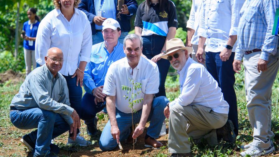 Plan de Reforestación busca recuperar la mitad perdida de la zona boscosa Plan de Reforestación busca recuperar la mitad perdida de la zona boscosa