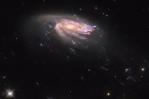 Hubble capta una galaxia con forma de medusa en un abismo cósmico Hubble capta una galaxia con forma de medusa en un abismo cósmico