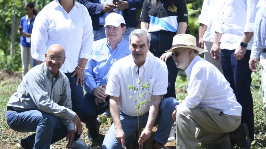 Abinader: Vamos a sembrar cinco árboles por cada árbol afectado durante la sequía