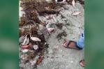 Academia de Ciencias y empresa que opera barcazas abogan por que se aclare muerte de peces en Azua