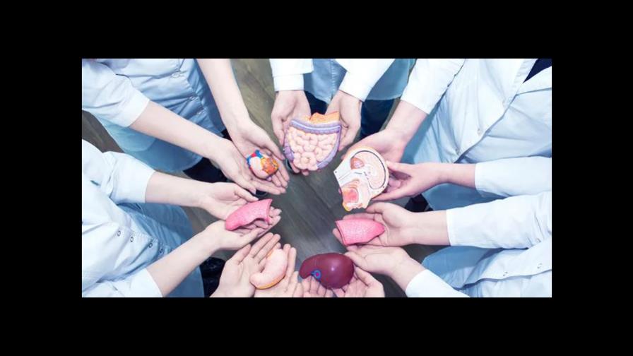Experta mexicana resalta importancia de expresar a familiares el deseo de donar órganos Experta mexicana resalta importancia de expresar a familiares el deseo de donar órganos