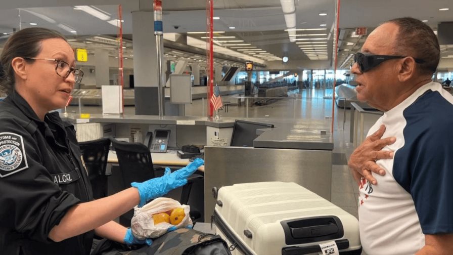 Multan a un dominicano con 300 dólares por llevar mangos a Estados Unidos Multan a un dominicano con 300 dólares por llevar mangos a Estados Unidos