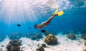 6 acciones que pueden ayudar a salvar los océanos 