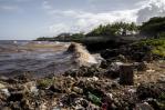 Día de los Océanos llega entre preocupación por contaminación marina y proyectos de conservación Día de los Océanos llega entre preocupación por contaminación marina y proyectos de conservación