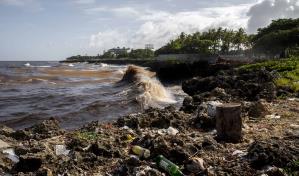 Día de los Océanos llega entre preocupación por contaminación marina y proyectos de conservación