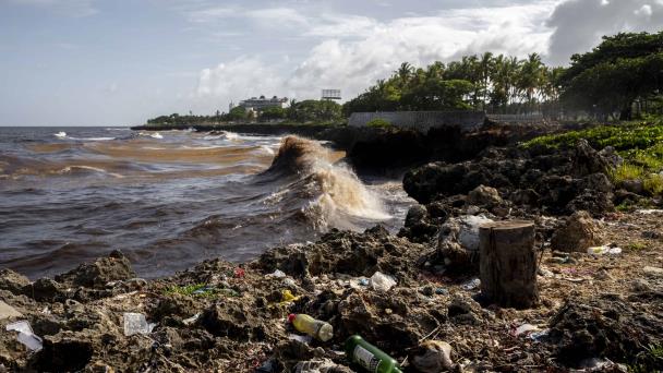 Día de los Océanos llega entre preocupación por contaminación marina y proyectos de conservación