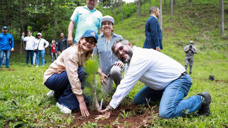 Vicepresidenta encabeza en Santiago jornada de siembra de árboles y congreso científico Vicepresidenta encabeza en Santiago jornada de siembra de árboles y congreso científico