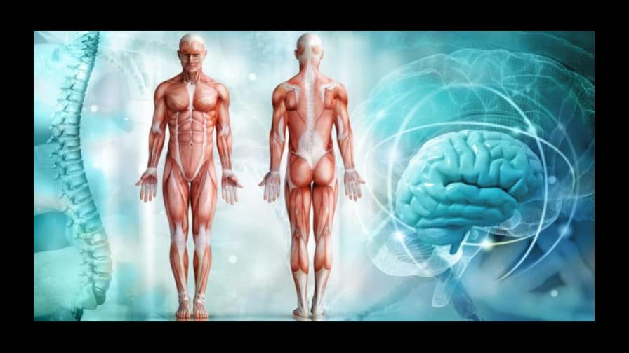 Diez cosas que quizás no sabías sobre el cuerpo humano