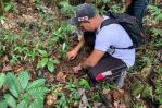 El Iddi realiza jornada de reforestación en San Cristóbal El Iddi realiza jornada de reforestación en San Cristóbal