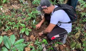 El Iddi realiza jornada de reforestación en San Cristóbal