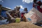 Estados Unidos suspende ayuda alimentaria a Etiopía por anomalías Estados Unidos suspende ayuda alimentaria a Etiopía por anomalías
