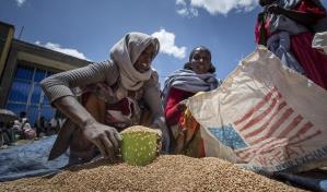 Estados Unidos suspende ayuda alimentaria a Etiopía por anomalías