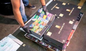 Conozca los términos electorales de cara a las elecciones del 2024