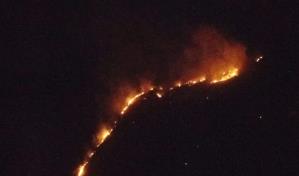 Incendios forestales afectan Cabo Cabrón y Cabo Samaná