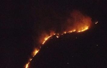 Incendios forestales afectan Cabo Cabrón y Cabo Samaná