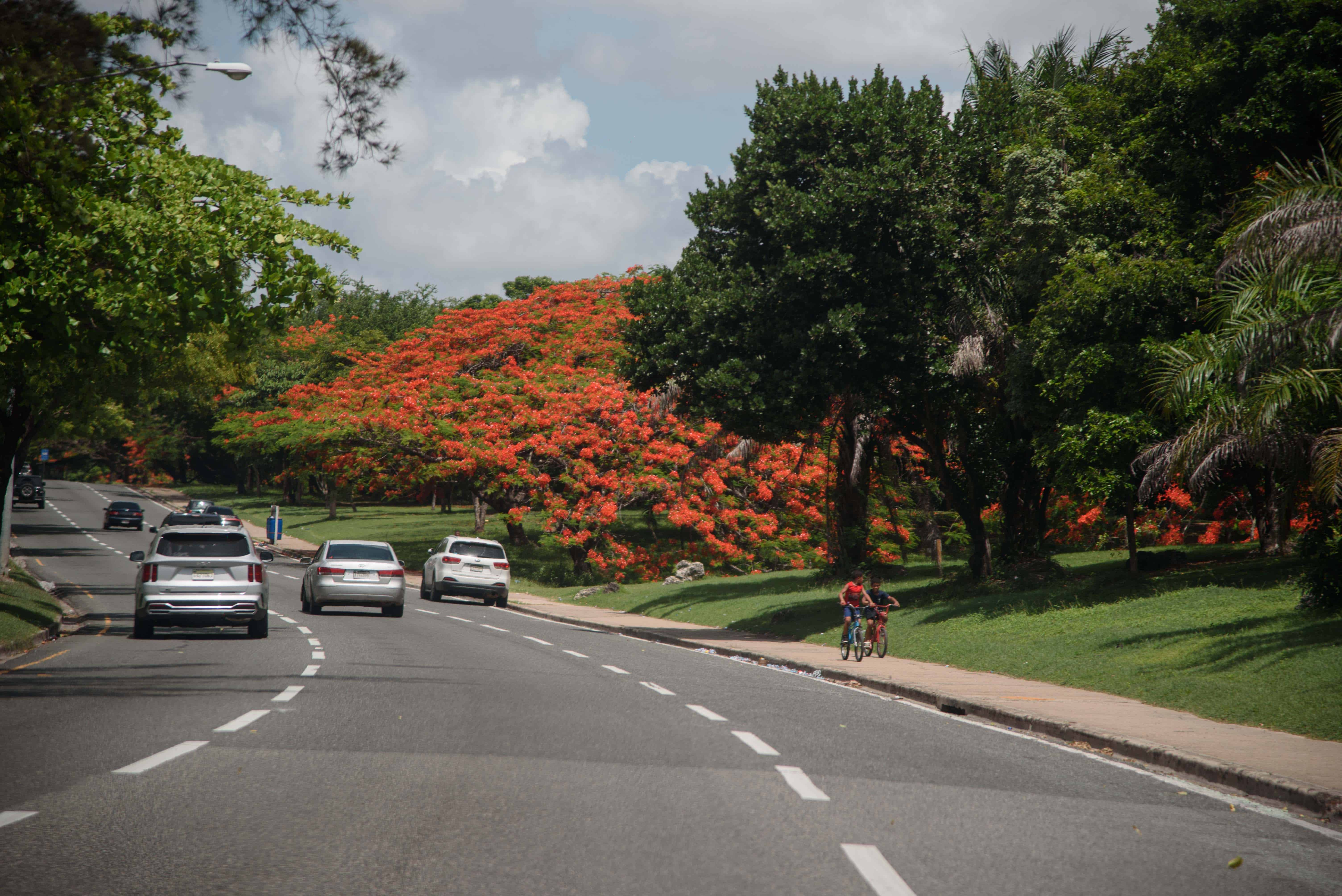 Avenida de Los Próceres.