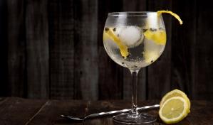 Seis bebidas para disfrutar de la exótica ginebra, en su día