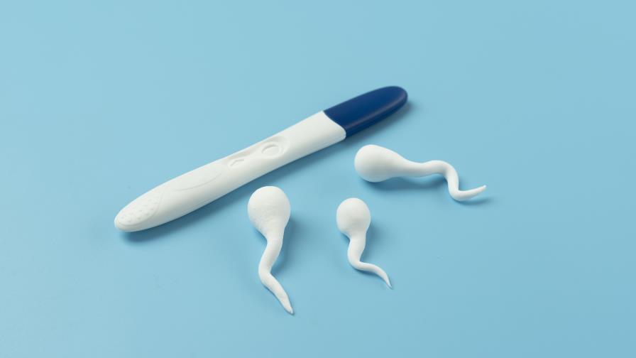 Cosas que deberías saber sobre la fertilidad