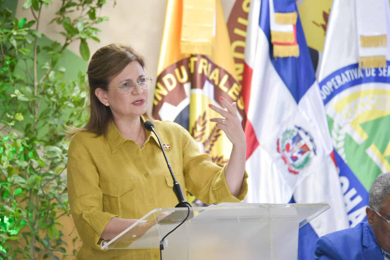Vicepresidenta Raquel Peña.&nbsp;