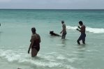 Oso sorprende a bañistas en EE. UU. tras nadar desde el océano hasta la orilla de una playa