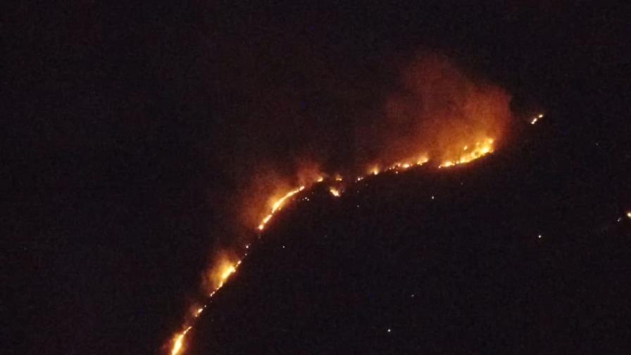 Apresan hombre por incendio forestal en Cabo Cabrón, Samaná
