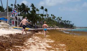 Sargazo, el dolor de cabeza del turismo que llega desde el Atlántico Norte