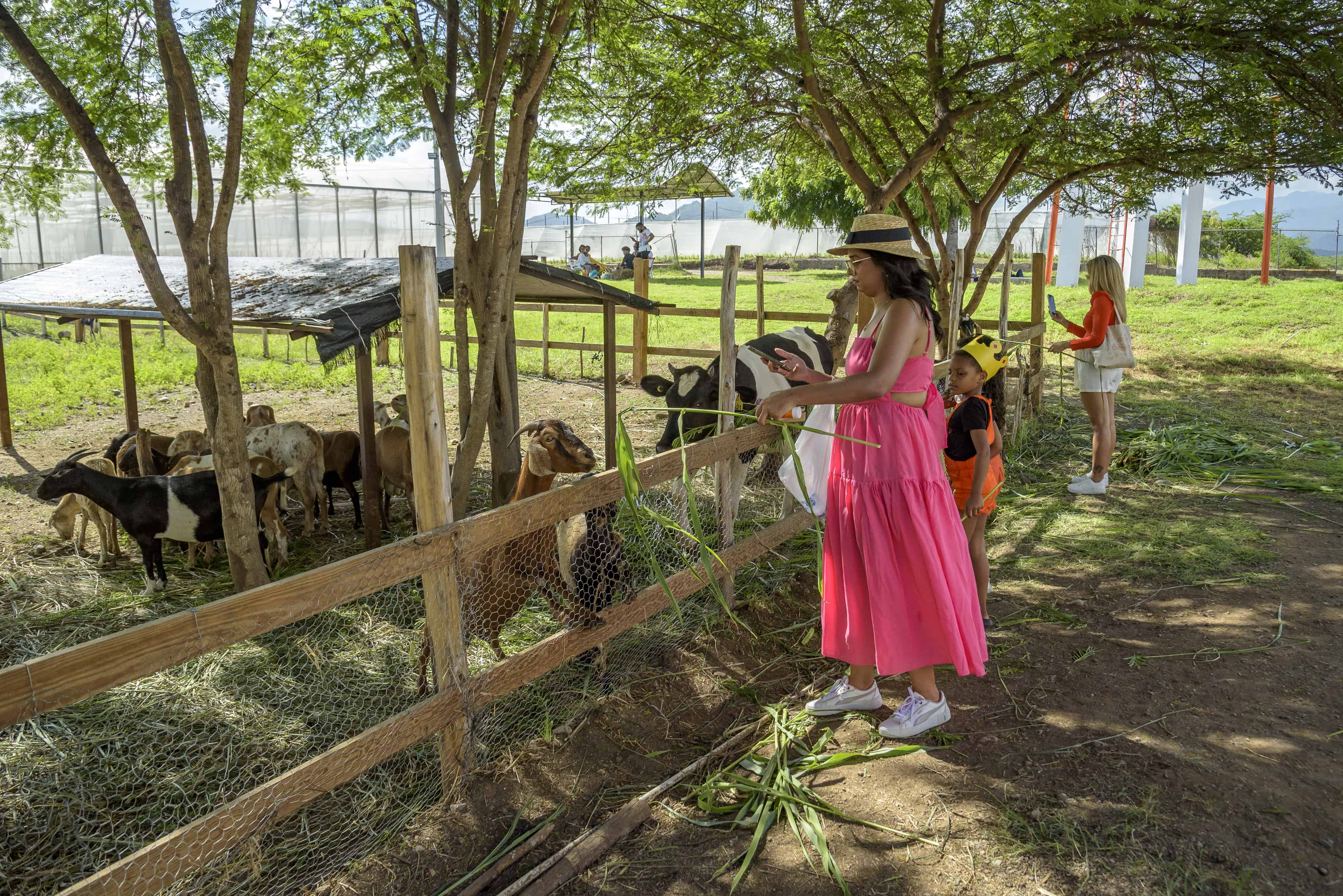 [object HTMLTextAreaElement]