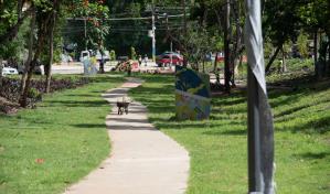 Trabajos en Cristo Park avanza en un 70 por ciento