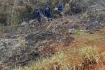 Incendio en Cabo Cabrón afectó zona que alberga especies en peligro de extinción Incendio en Cabo Cabrón afectó zona que alberga especies en peligro de extinción