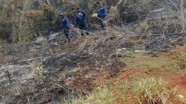 Incendio en Cabo Cabrón afectó zona que alberga especies en peligro de extinción