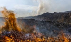 España debe prepararse para incendios forestales cada vez más agresivos