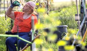 Calor extremo también azota gran parte de Texas, sin alivio a la vista
