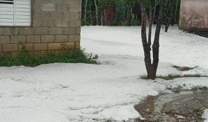 Estiman millones de plantas arrancadas provocaron espumas en Villarpando