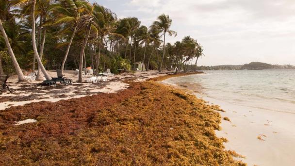 República Dominicana recibirá colaboración de España para la crisis climática