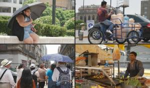 Altas temperaturas y muerte masiva de aves en México con fenómeno de El Niño