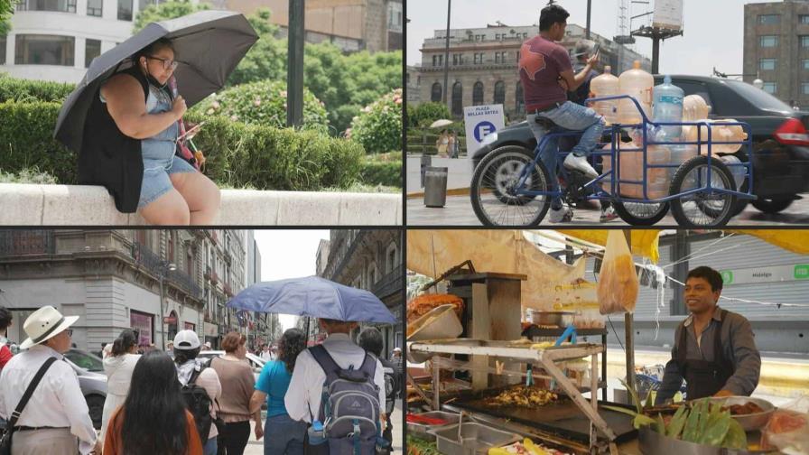 Altas temperaturas y muerte masiva de aves en México con fenómeno de El Niño