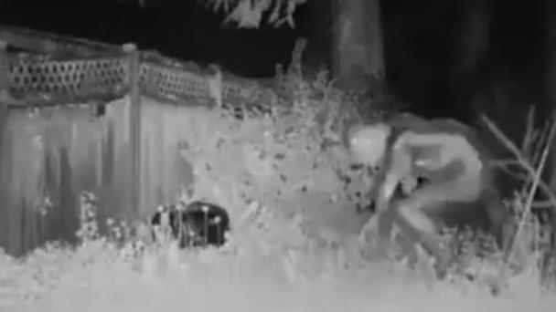 Video sobre extraterrestre es una animación 3D y no guarda relación con reporte de ovni en Las Vegas