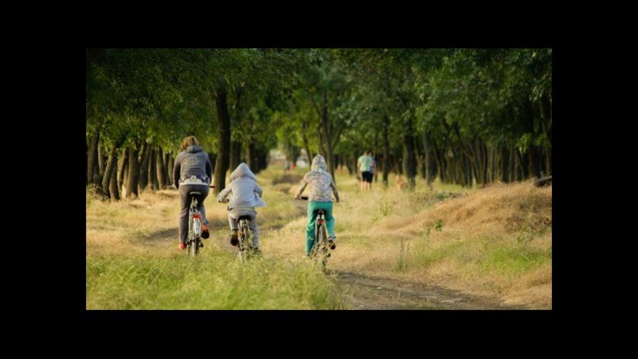 Explorando la naturaleza: ideas para vacaciones familiares al aire libre
